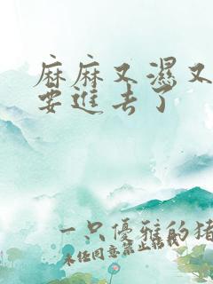 麻麻又湿又紧我要进去了