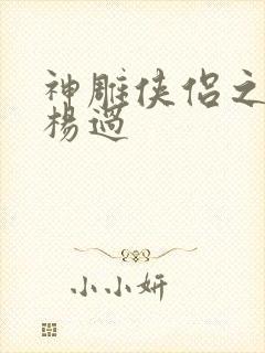 神雕侠侣之我是杨过