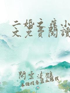 二婚之痒小说全文免费阅读