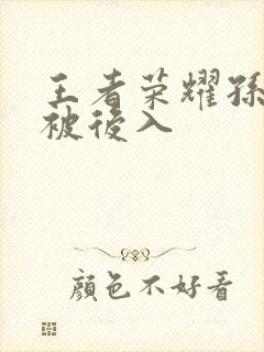 王者荣耀孙尚香被后入