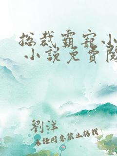 总裁霸宠小娇妻 小说免费阅读