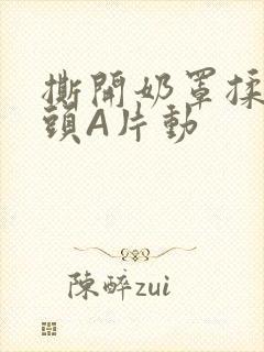 撕开奶罩揉吮奶头A片动