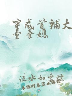 穿成首辅大人的童养媳