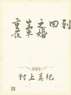 重生之回到新婚夜军婚