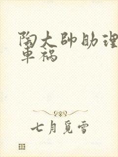 陶大帅助理子豪车祸