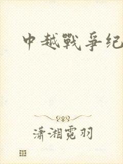 中越战争纪实录