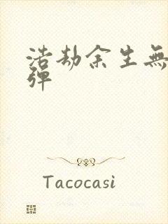 浩劫余生无限子弹