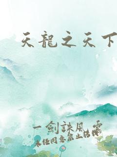 天龙之天下有我