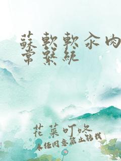 苏软软汆肉的日常系统