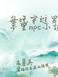 每晚穿进男神的梦里npc小说