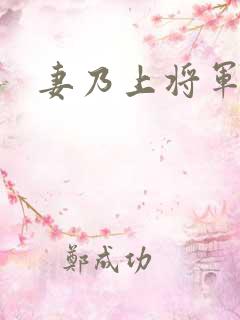 妻乃上将军下载