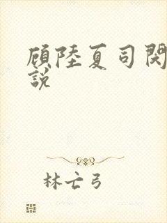 顾陆夏司闵郁小说