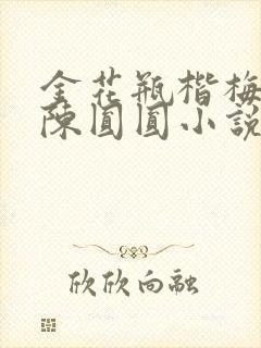 金花瓶楷梅花2陈圆圆小说