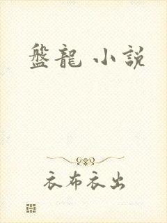 盘龙 小说
