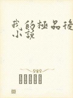 我的极品后宫 小说