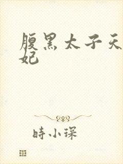 腹黑太子天降萌妃