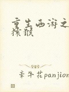 重生西游之通臂猿猴