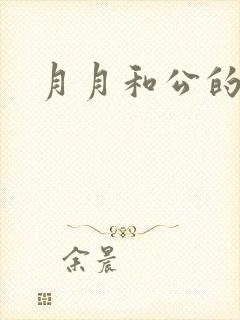 月月和公的恋情