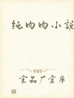 纯肉肉小说