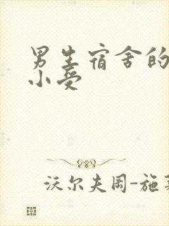 男生宿舍的公共小受