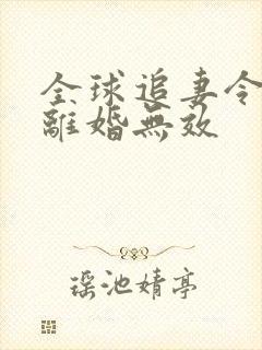 全球追妻令老婆离婚无效