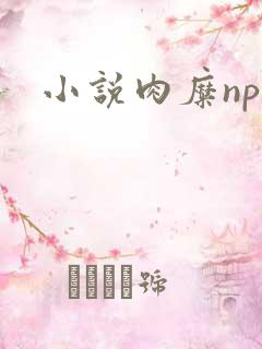 小说肉糜np