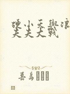 硬小天与浪小辉夫夫大战