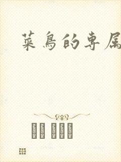 菜鸟的专属大神