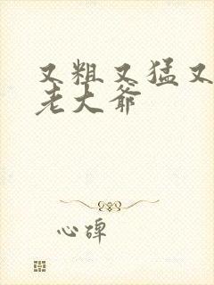 又粗又猛又大爽老大爷