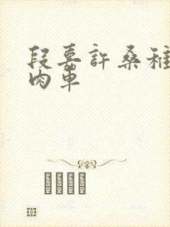 段嘉许桑稚浴室肉车