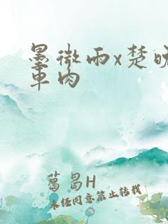 墨微雨x楚晚宁车肉