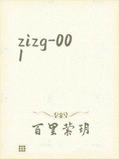 zizg-001