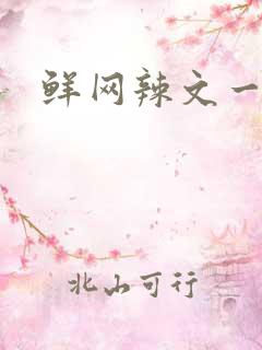 鲜网辣文一对一