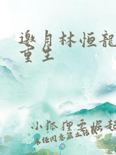 邀月林恒龙凤胎重生
