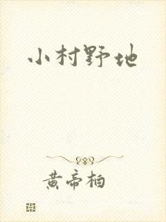 小村野地