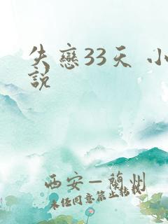 失恋33天 小说