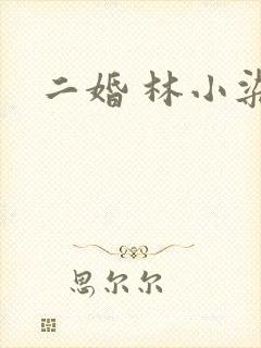二婚 林小染