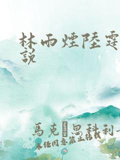 林雨烟陆霆琛小说