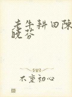 老牛耕田陈雪杨晓芬