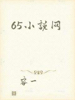 65小说网