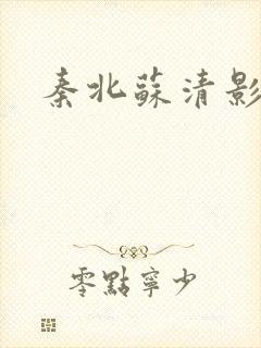 秦北苏清影小说