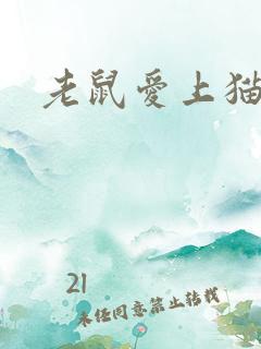 老鼠爱上猫下载