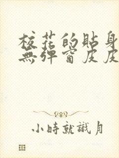 校花的贴身高手无弹窗皮皮