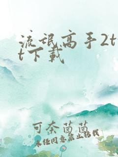 流氓高手2txt下载