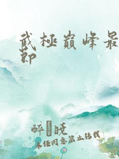 武极巅峰最新章节