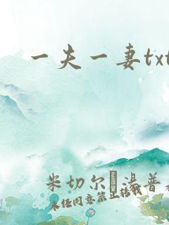 一夫一妻txt