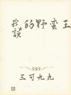 我的野蛮王妃小说