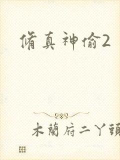 修真神偷2