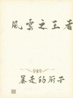 风云之王者人生