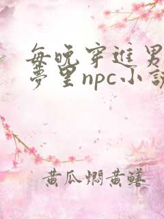 每晚穿进男神的梦里npc小说